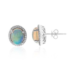 AAA-Welo-Opal-Goldohrringe (CIRARI)