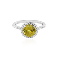 Sphen-Goldring (AMAYANI)