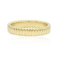 Silberring