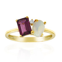 Edelstein-Goldring (CIRARI)
