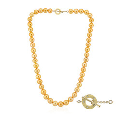 Goldene Süßwasserzuchtperlen-Silbercollier (TPC)