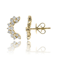 I1 (H) Brillant-Goldohrringe (CIRARI)