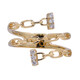 I1 (H) Brillant-Goldring (CIRARI)