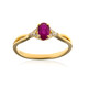 AAA-Mosambik-Rubin-Goldring (CIRARI)