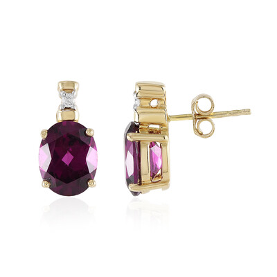 Magenta-Granat-Goldohrringe
