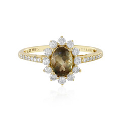 Oregon-Sonnenstein-Goldring (AMAYANI)