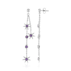 Sambia-Amethyst-Silberohrringe