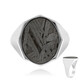 Aletai-Meteorit-Silberring