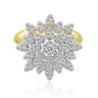 IF (D) Brillant-Goldring