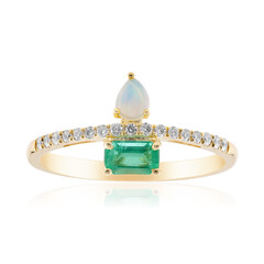 Edelstein-Goldring (CIRARI)