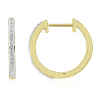 I4 (J) Diamant-Goldohrringe