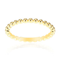 Silberring