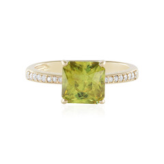 Sphen-Goldring (AMAYANI)
