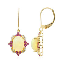 AAA-Welo-Opal-Goldohrringe (CIRARI)