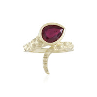 Madagaskar-Rubin-Goldring (de Melo)