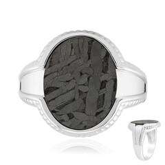 Aletai-Meteorit-Silberring