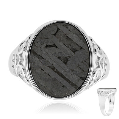 Aletai-Meteorit-Silberring