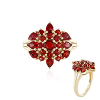Tansania-Rubin-Goldring