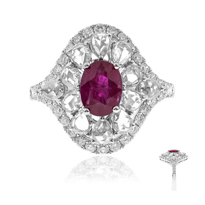 AAA-Mosambik-Rubin-Goldring (CIRARI)