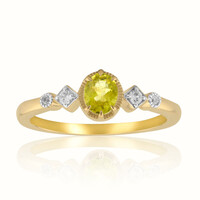 Kansas-Pallavin-Goldring