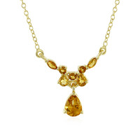 Citrin-Silbercollier