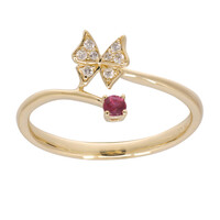 AAA-Mosambik-Rubin-Goldring (CIRARI)