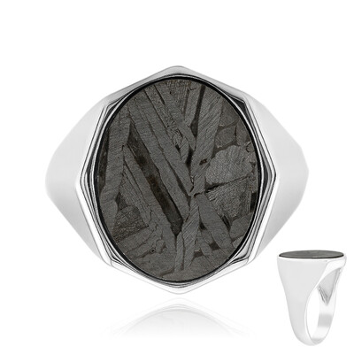 Aletai-Meteorit-Silberring