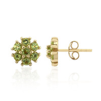Burmesischer Peridot-Silberohrringe