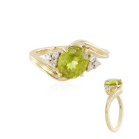 Sphen-Goldring (AMAYANI)