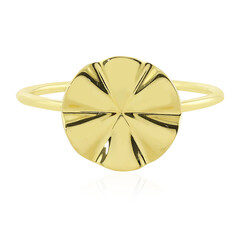 Silberring