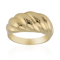 Silberring