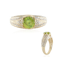 Sphen-Goldring (de Melo)