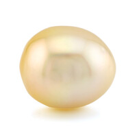Goldene Kabira-Südseeperle (TPC)