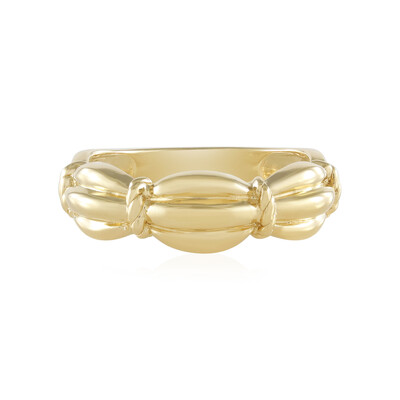 Silberring