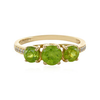 Sphen-Goldring