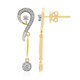 SI1 (G) Brillant-Goldohrringe (Annette)