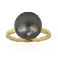 Tahitiperlen-Goldring (TPC)