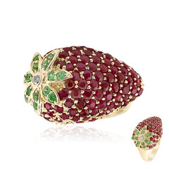 AAA-Mosambik-Rubin-Goldring (CIRARI)