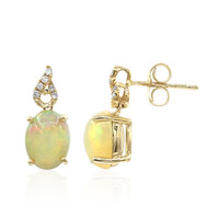 AAA-Welo-Opal-Goldohrringe