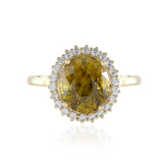 Sphen-Goldring