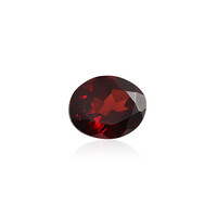 Mosambik-Granat 2,508 ct