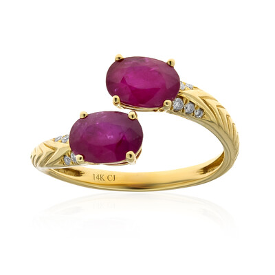 Mosambik-Rubin-Goldring (CIRARI)