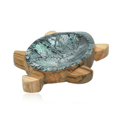 Abalone-Muschel-Seifenschale (Bali Barong)
