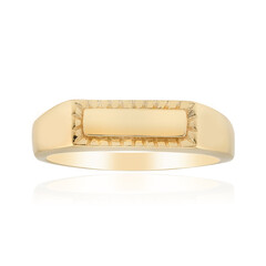 Silberring