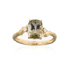 Kongo-Neon-Turmalin-Goldring (Smithsonian)