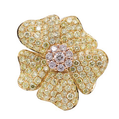 Brillant-Goldring (CIRARI)