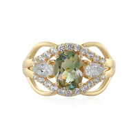 Oregon-Sonnenstein-Goldring