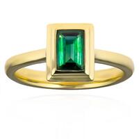 Golconda-Turmalin-Goldring (CUSTODANA)