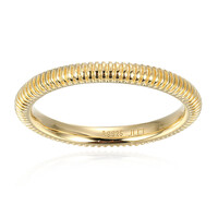 Silberring