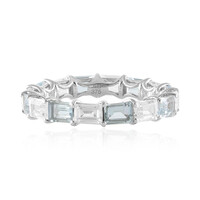 Edelstein-Goldring